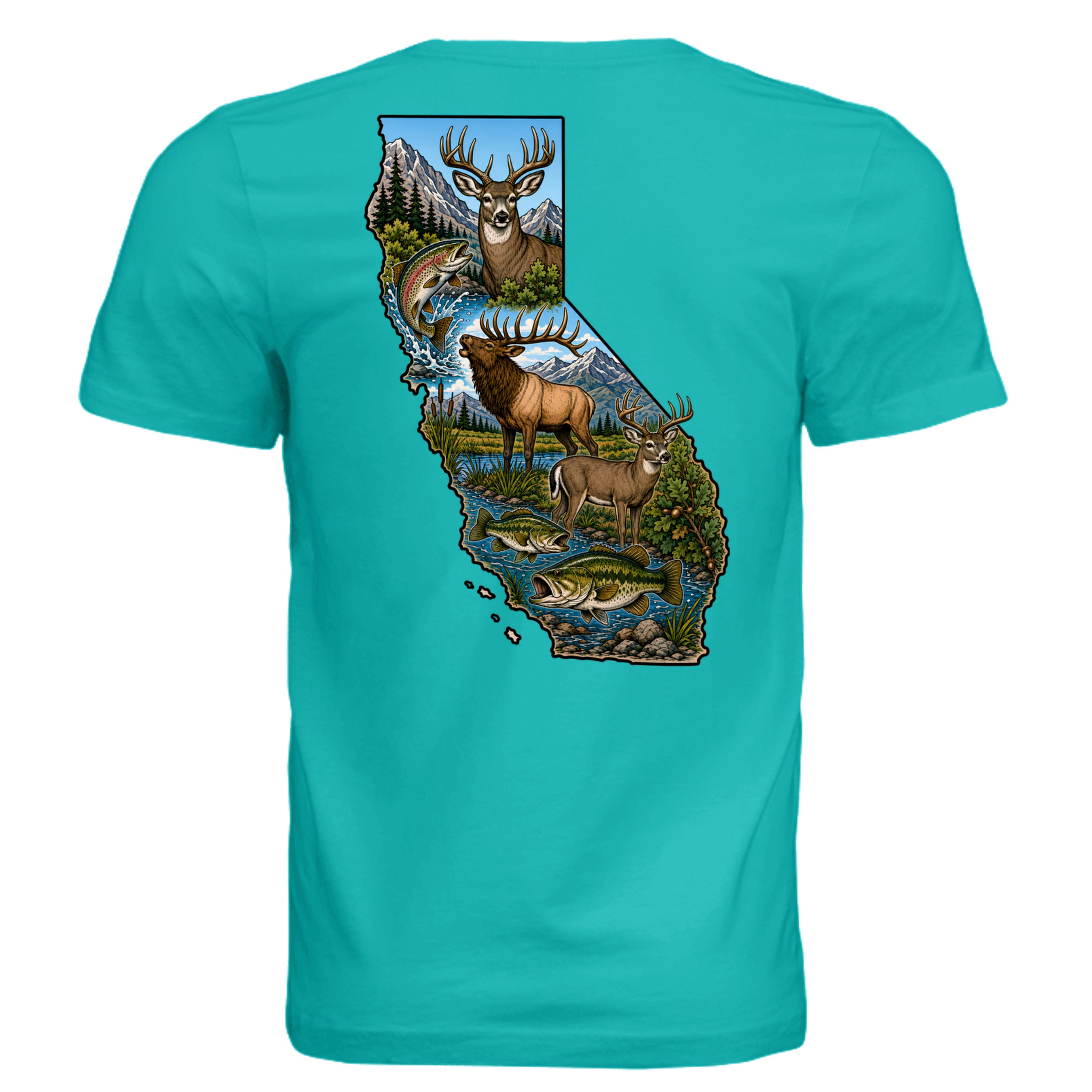 TEAL - 3001C - BACK