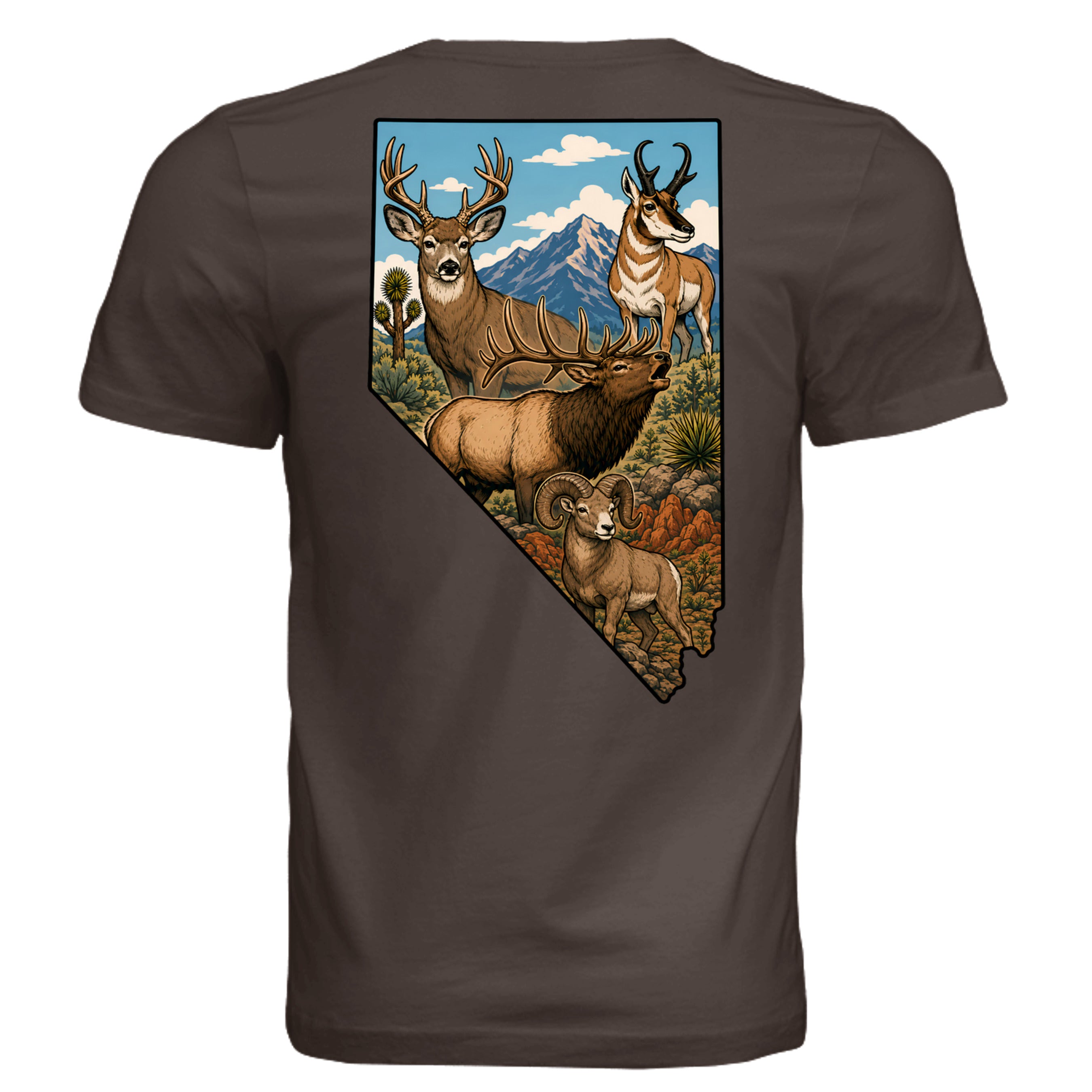 BROWN - 3001C - BACK