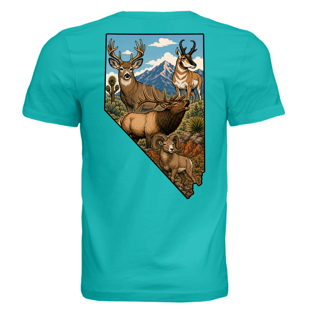 TEAL - 3001C - BACK
