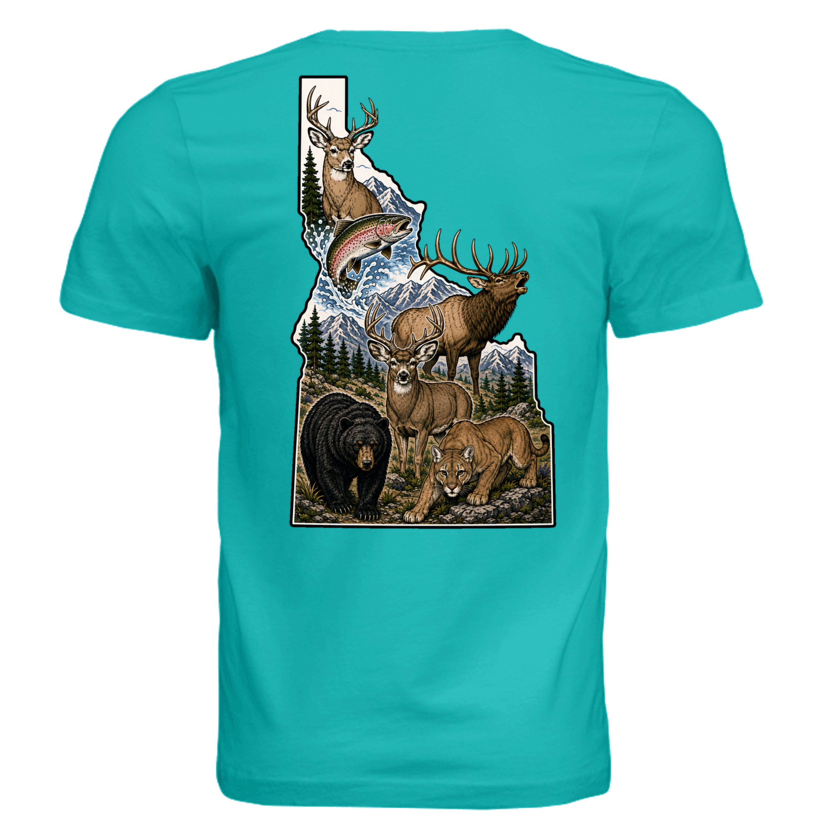 TEAL - 3001C - BACK
