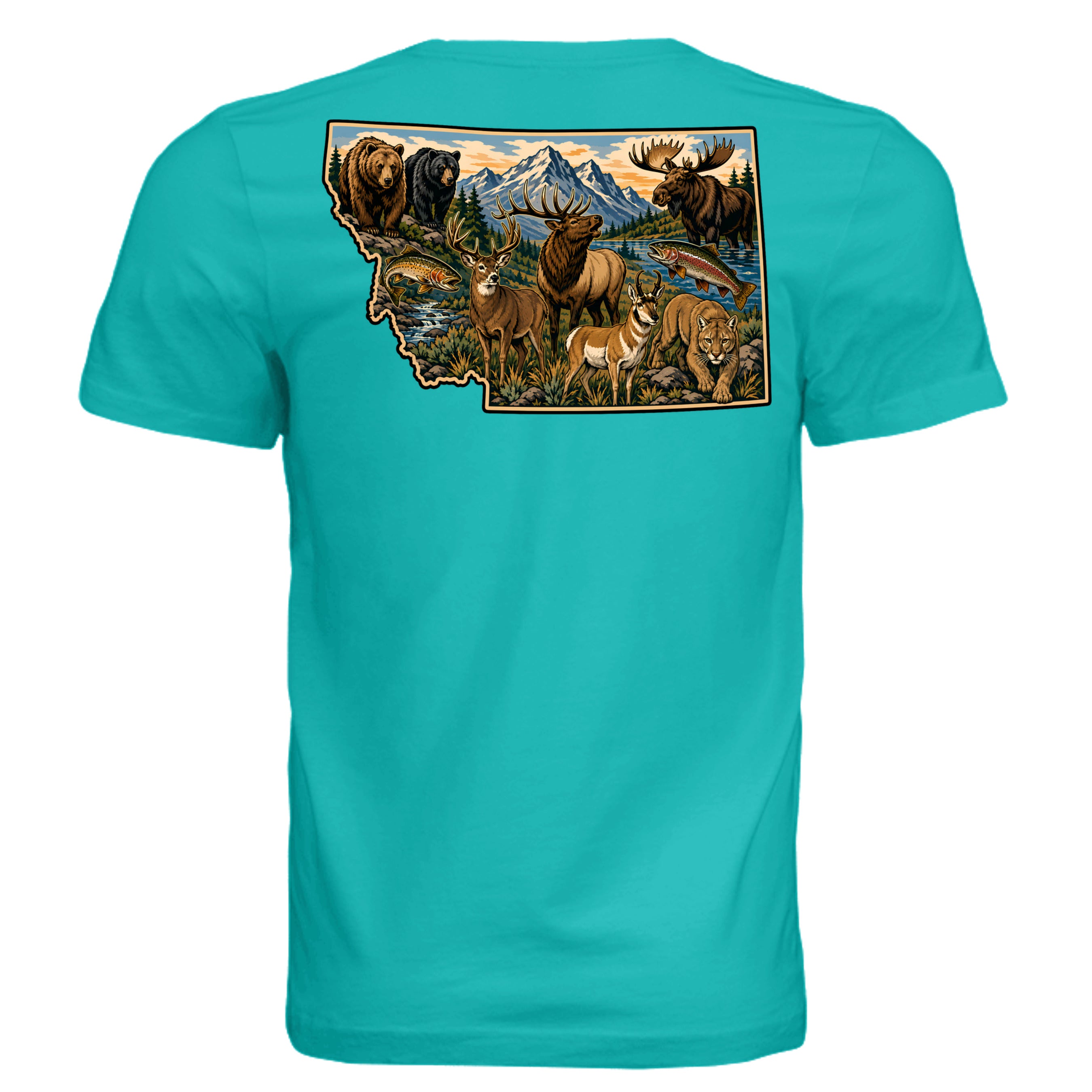 TEAL - 3001C - BACK