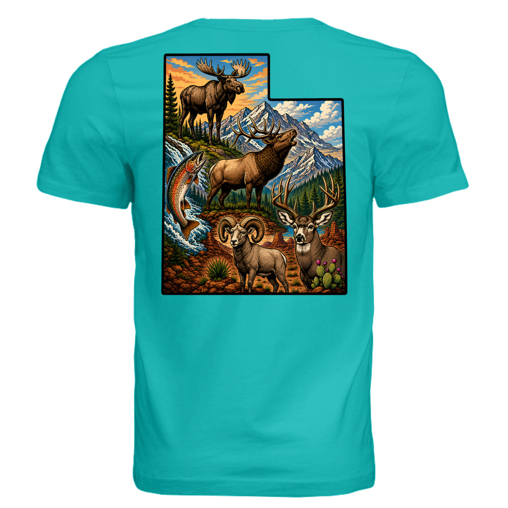 TEAL - 3001C - BACK